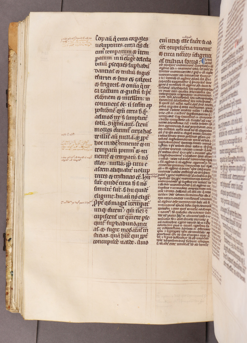 Folio 156 verso